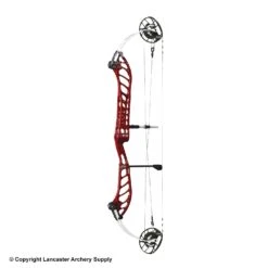 PSE Dominator Duo 38 Compound Target Bow (SE) -Bow Shop 1033084 blackcherry