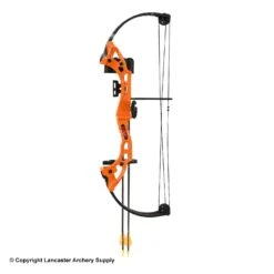Bear Brave Bow Set (Orange)