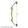 Bear Apprentice Compound Bow