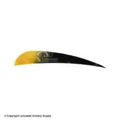 Ozark Eagle Tips 4" Parabolic Feather -Bow Shop 1610023 black gold