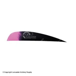 Ozark Eagle Tips 4" Parabolic Feather -Bow Shop 1610023 black pink