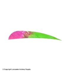 Ozark Eagle Tips 4" Parabolic Feather -Bow Shop 1610023 green pink