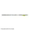 Carbon Express PileDriver Hunter DS Fletched Arrows