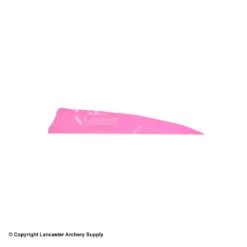 Gateway 4" Shield Feather -Bow Shop 2270007 pink