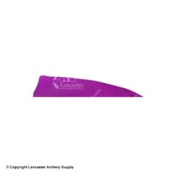 Gateway 4" Shield Feather -Bow Shop 2270007 purple