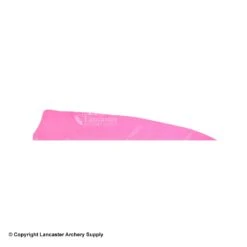 Gateway 5" Shield Feather -Bow Shop 2270008 pink