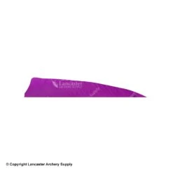 Gateway 5" Shield Feather -Bow Shop 2270008 purple