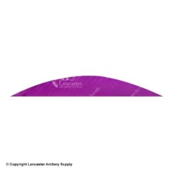 Gateway 5 1/2" Magnum Banana Feather 31 Gateway 5 1/2" Magnum Banana Feather -Bow Shop 2270019 purple