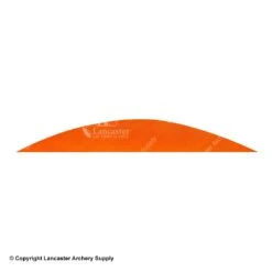 Gateway 5 1/2" Magnum Banana Feather 29 Gateway 5 1/2" Magnum Banana Feather -Bow Shop 2270019 tangerine