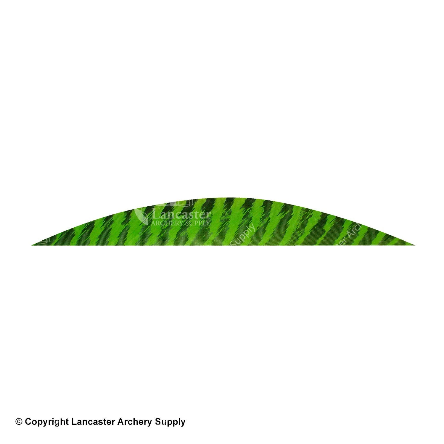 Gateway 5 1/2" Magnum Banana Barred Feather 3 Gateway 5 1/2" Magnum Banana Barred Feather - Image 3