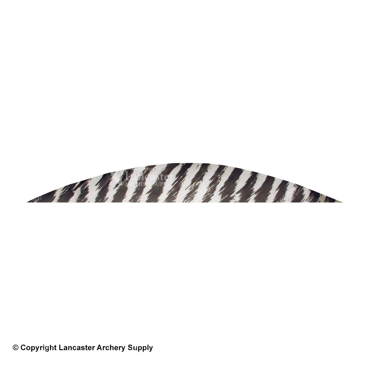 Gateway 5 1/2" Magnum Banana Barred Feather 1 Gateway 5 1/2" Magnum Banana Barred Feather