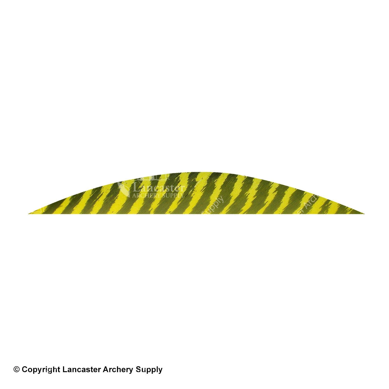 Gateway 5 1/2" Magnum Banana Barred Feather 6 Gateway 5 1/2" Magnum Banana Barred Feather - Image 6