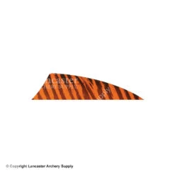 Gateway 2" Rayzr Barred Feather (Right Wing) 11 Gateway 2" Rayzr Barred Feather (Right Wing) -Bow Shop 2270053 orange