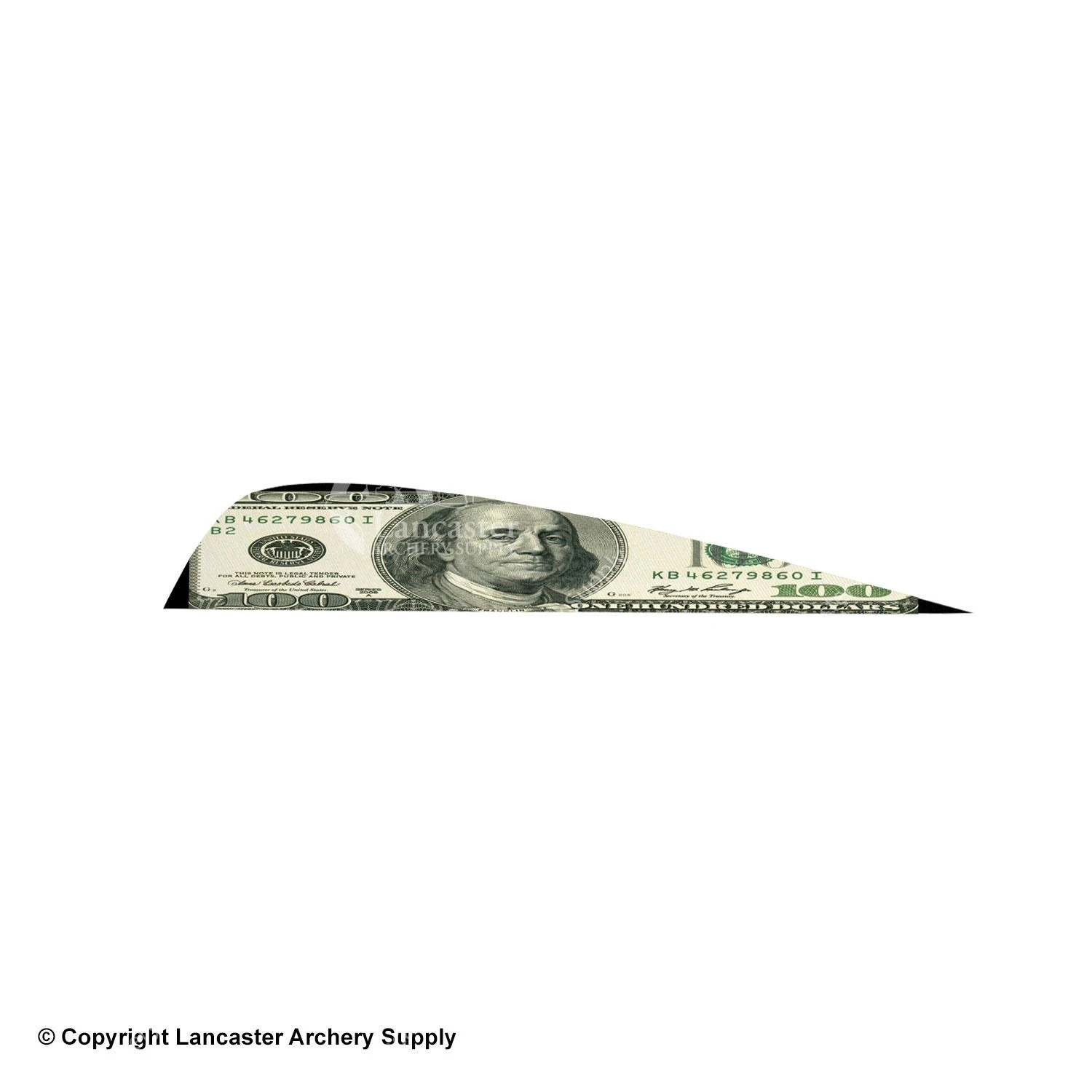 Gateway 4" Printz Feather 10 Gateway 4" Printz Feather - Image 10