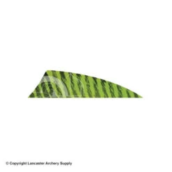 Gateway 2" Rayzr Barred Feather (Left Wing) -Bow Shop 2270061 chartreuse