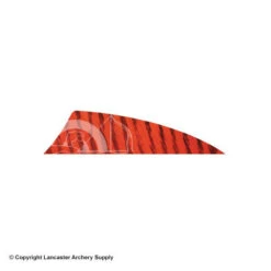 Gateway 2" Rayzr Barred Feather (Left Wing) -Bow Shop 2270061 red