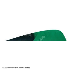 Gateway 3" Parabolic Hann-Bun Kuro Feather -Bow Shop 2270072 green