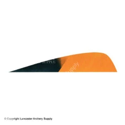 Gateway 3" Parabolic Hann-Bun Kuro Feather -Bow Shop 2270072 orange
