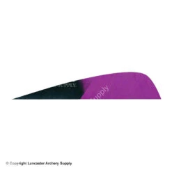 Gateway 3" Parabolic Hann-Bun Kuro Feather -Bow Shop 2270072 purple