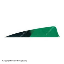 Gateway 4" Shield Hann-Bun Kuro Feather -Bow Shop 2270074 green