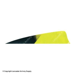 Gateway 4" Shield Hann-Bun Kuro Feather -Bow Shop 2270074 lemonlime
