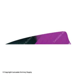 Gateway 4" Shield Hann-Bun Kuro Feather -Bow Shop 2270074 purple