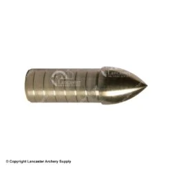 Gold Tip Series 22 Glue-In Target Point