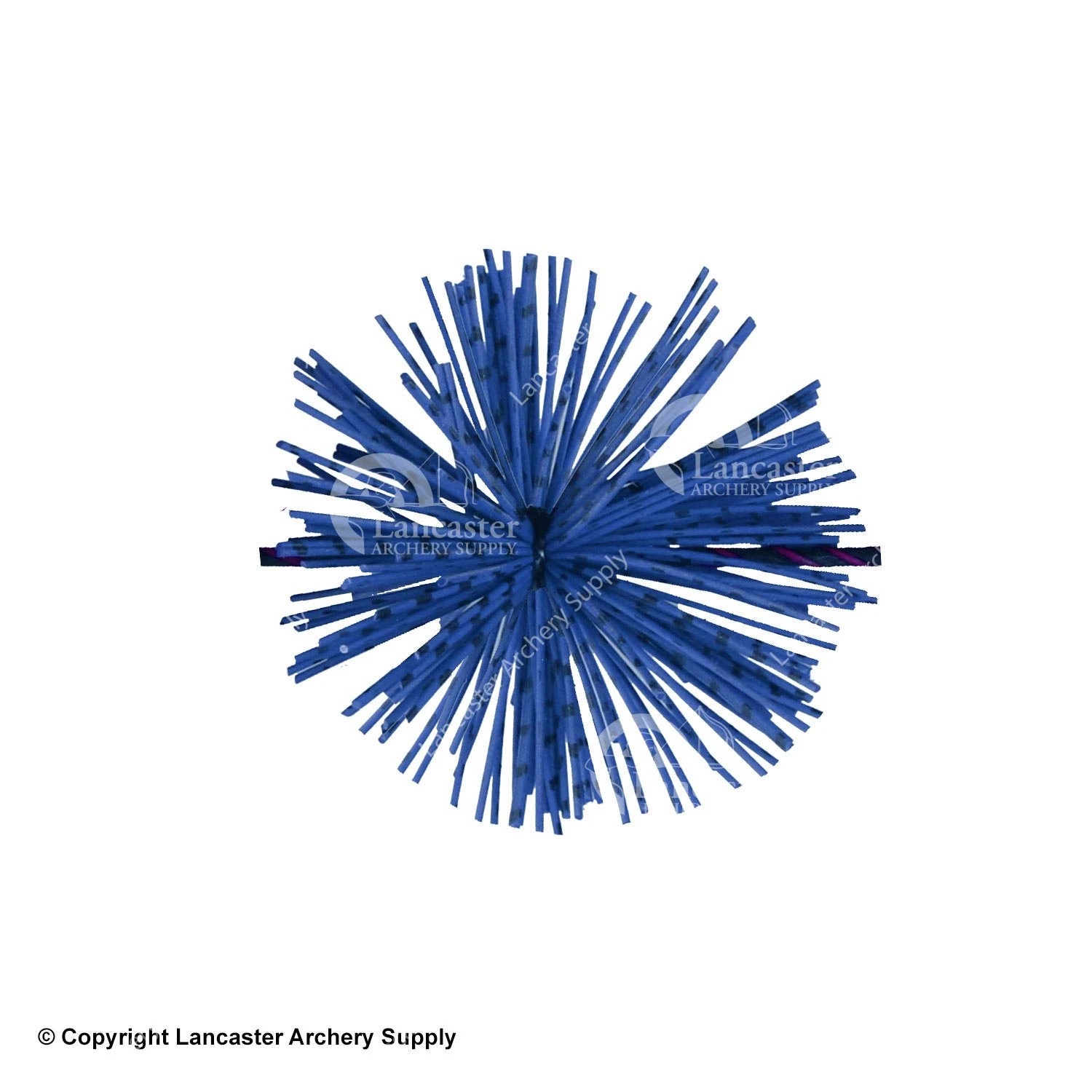 X-Spot Tiger Striped Whiskers 6 X-Spot Tiger Striped Whiskers - Image 6