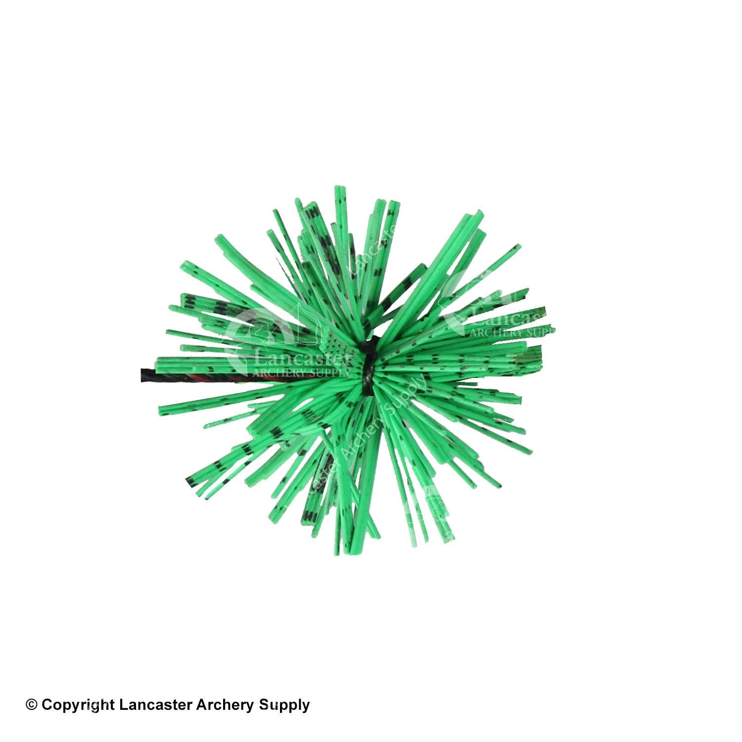 X-Spot Tiger Striped Whiskers 7 X-Spot Tiger Striped Whiskers - Image 7