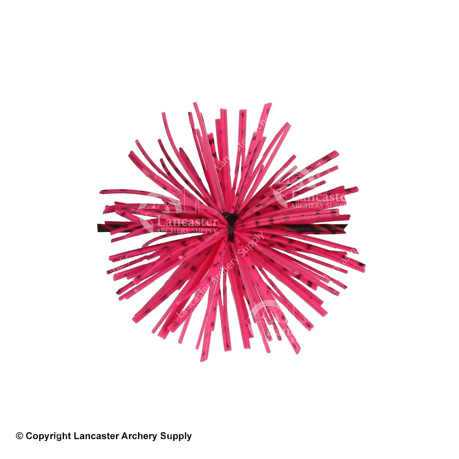 X-Spot Tiger Striped Whiskers 3 X-Spot Tiger Striped Whiskers - Image 3