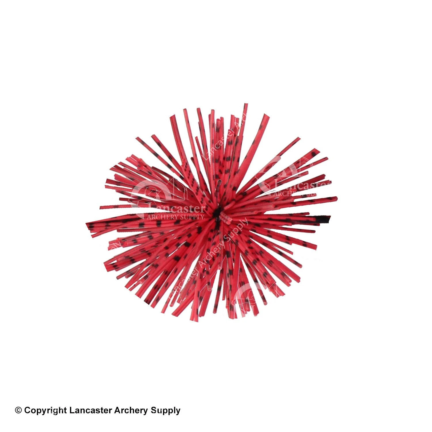 X-Spot Tiger Striped Whiskers 2 X-Spot Tiger Striped Whiskers - Image 2