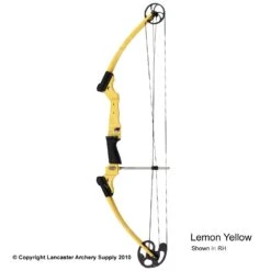 Genesis Archery Original Genesis Bow (Colors) -Bow Shop 3110064 lemonyellow