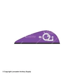 Q2i Predator-X Vanes -Bow Shop 3350039 violet