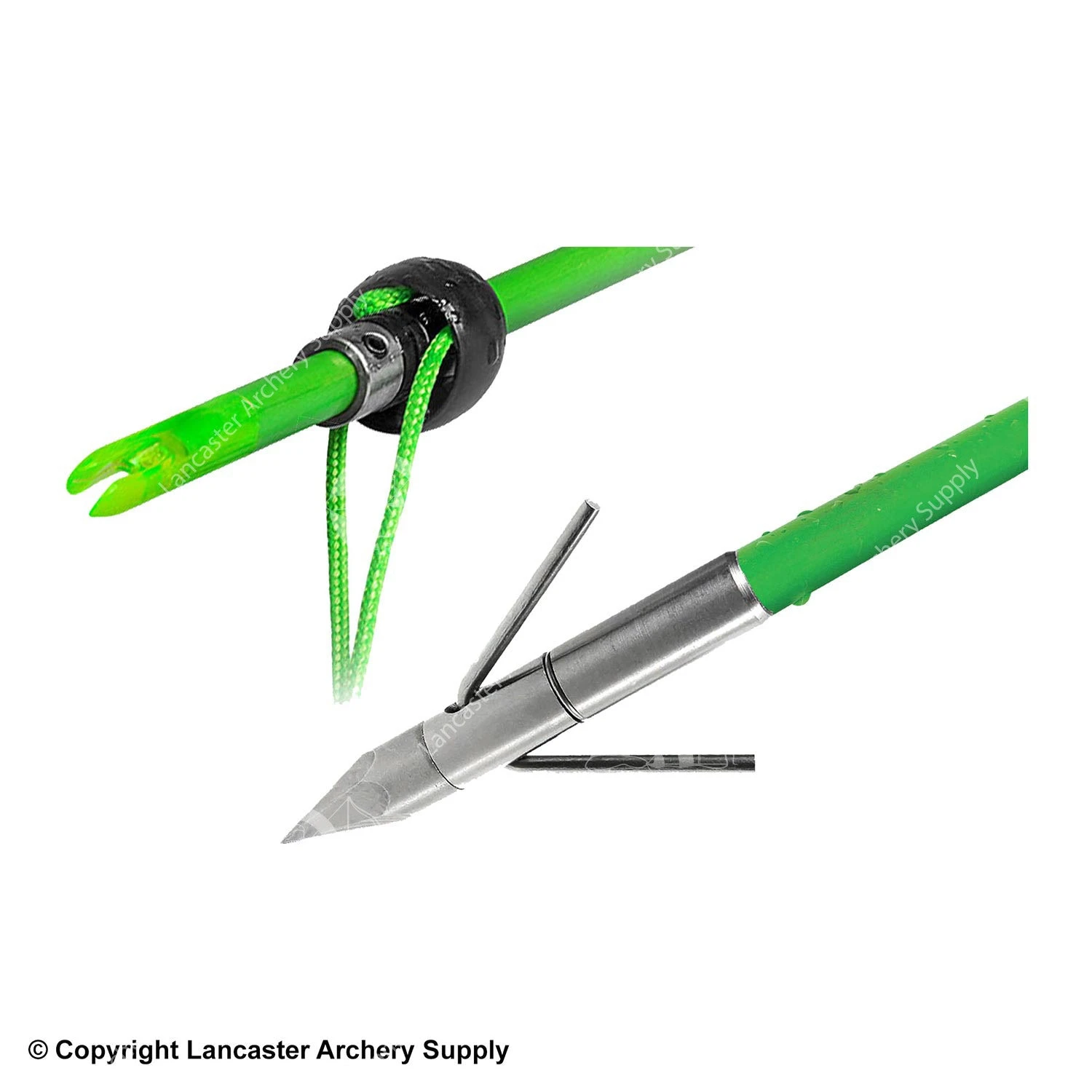 TruGlo Bowfishing Arrow W/ Lunker Point 1 TruGlo Bowfishing Arrow W/ Lunker Point