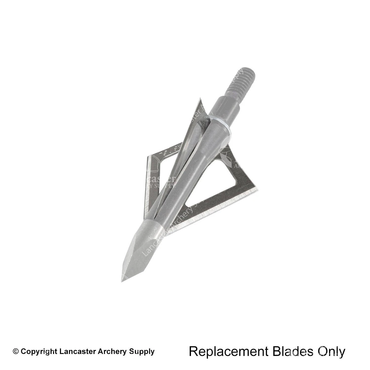 Wasp Hammer SST 125gr. Replacement Blades 1 Wasp Hammer SST 125gr. Replacement Blades