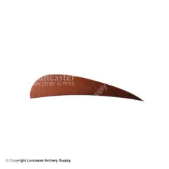Trueflight 3" RW Round Back Feather -Bow Shop 5200003 autumn brown 88f393f0 d591 46b8 9ca2 0021ab51495f