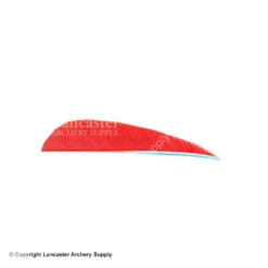 Trueflight 3" RW Round Back Feather -Bow Shop 5200003 blaze 8c03c6d4 fbc0 44a4 badd edefced4b71b