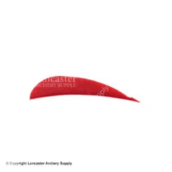 Trueflight 3" RW Round Back Feather -Bow Shop 5200003 scarlet red 20e3b7d6 279d 4057 bd2b 3c8e71c1b4ba