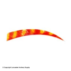 Trueflight Brite Stripes 5" RW & LW Shield Back Feather -Bow Shop 5200007 char orange