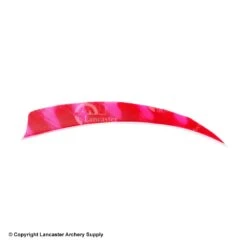 Trueflight Brite Stripes 5" RW & LW Shield Back Feather -Bow Shop 5200007 red pink