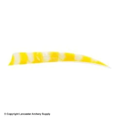 Trueflight Brite Stripes 5" RW & LW Shield Back Feather -Bow Shop 5200007 yel white