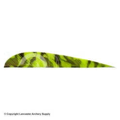 Trueflight Camo 4" RW Round Back Feather -Bow Shop 5200010 chartreuse