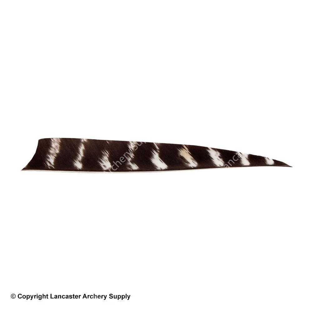 Bearpaw 4" Shield Cut Natural Barred Feather 1 Bearpaw 4" Shield Cut Natural Barred Feather