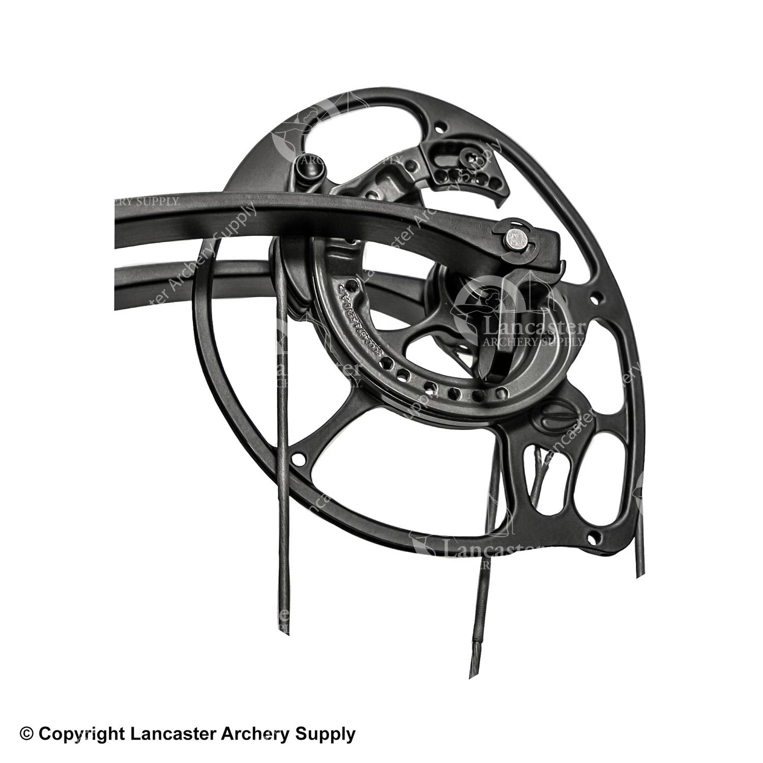 Elite Versa Performance Mod System 1 Elite Versa Performance Mod System