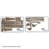 Genesis Bow Leopard Print Decal Kit