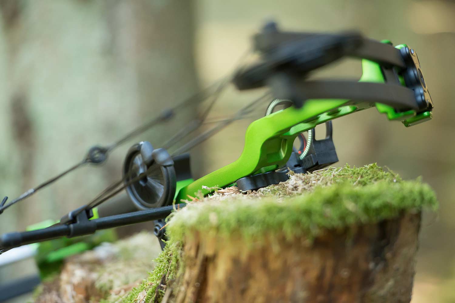 Bow Shop -Bow Shop banner compound alle boegen